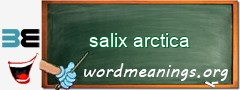 WordMeaning blackboard for salix arctica